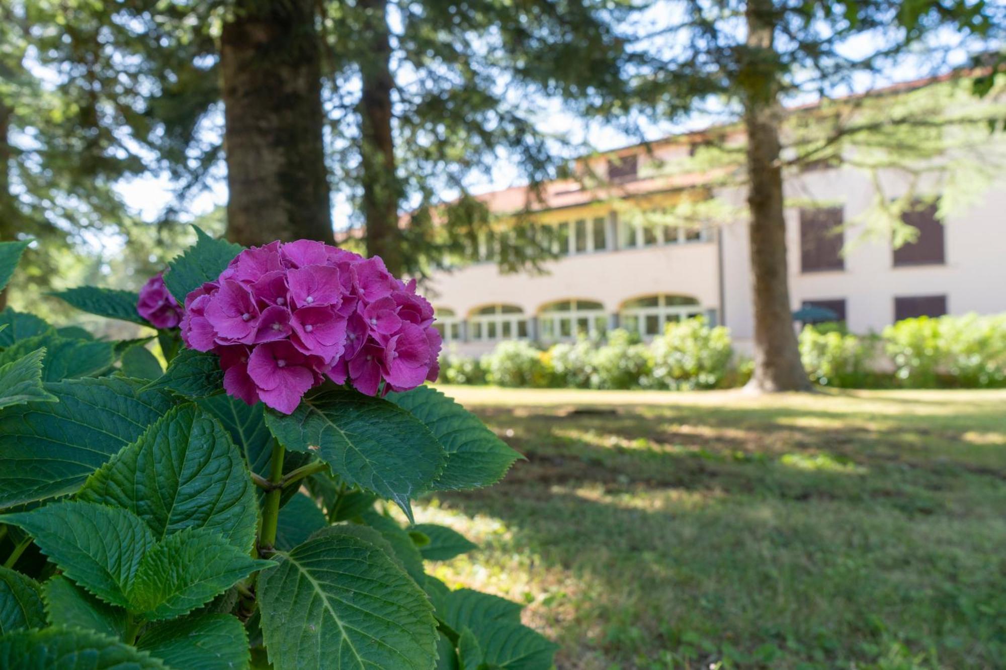 Toscana Wellness Resort Arcidosso Zewnętrze zdjęcie